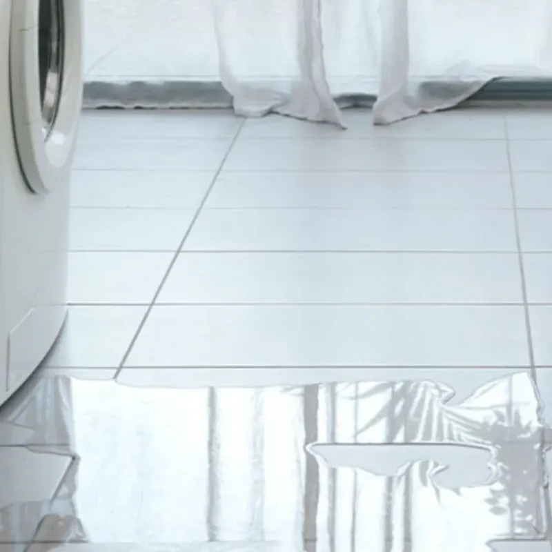 Appliance Leak Cleanup in Lockland, OH