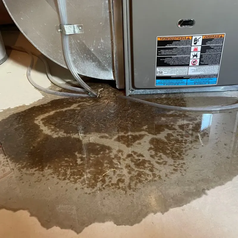 Pipe Burst and Leak Restoration in Lockland, OH