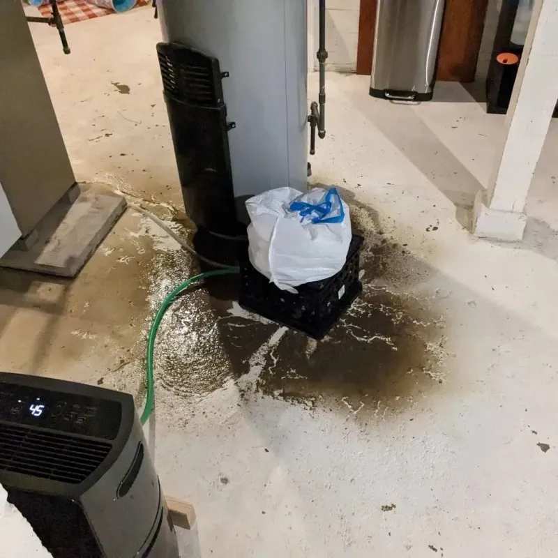 Sewage Backup Cleanup Service in Lockland, OH